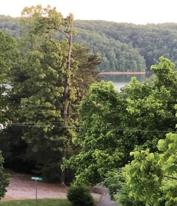 Driftwood Cottage With Hot Tub On Lake Cumberland Russell Springs Eksteriør bilde